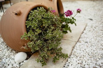 Decorations for a rustic outdoor wedding with natural motifs and flowers.