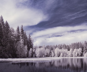 infrared photography - ir photo of landscape under sky with clouds - the art of our world in the...