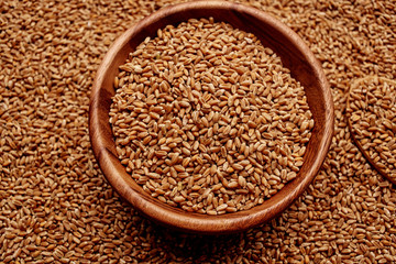 grains in a plate