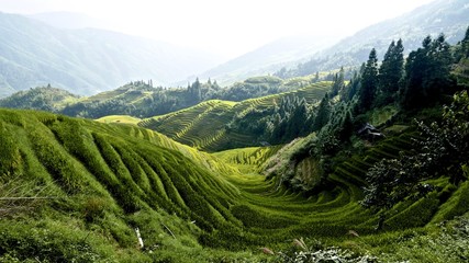 Longji Rice Terraces, Guilin, China