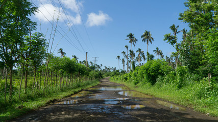 Fototapeta na wymiar Typical bumpy road leading across Samoan island