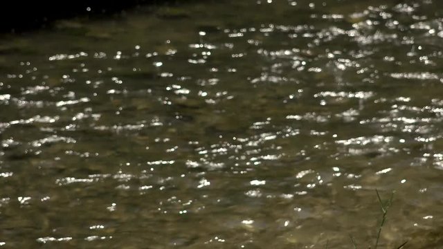 Stream meandering focus