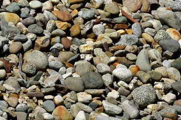 River rocks
