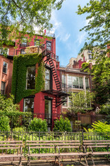 Residential street in Brooklyn Heights Historic District with brownstone townhouses, NEw York, USA