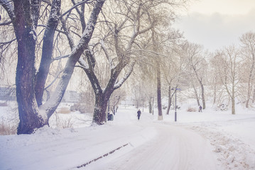 Powdered Helsinki
