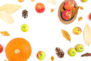 Thanksgiving autumn frame made of fall dried leaves, pine cones, apples and pumpkin on white background. Flat lay, top view