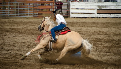 Rodeo Barrel Racing