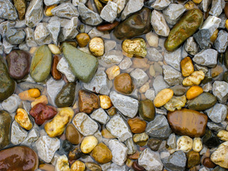 nature beach rock.