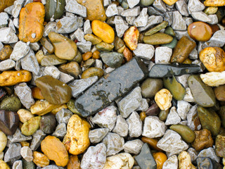nature beach rock.