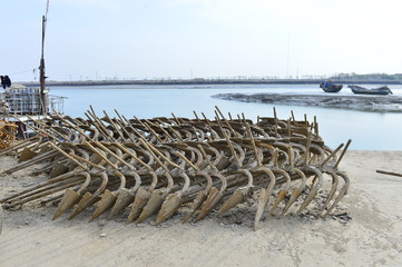 The anchor on the shore
