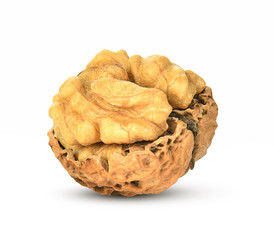 Walnut isolated on white background