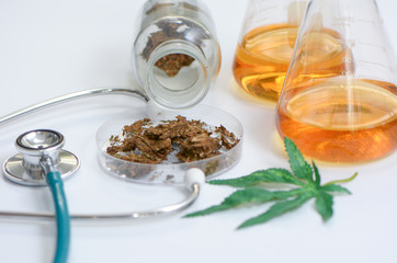 Scientist chemist working in lab to cannabis research