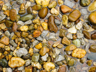nature beach rock.