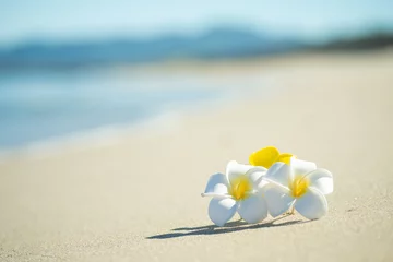 Deurstickers 砂浜とプルメリア   © 歌うカメラマン