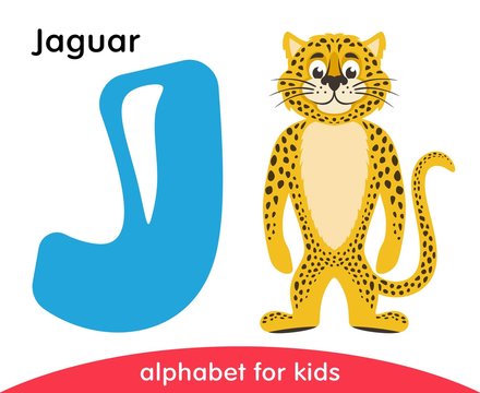 Blue letter J and yellow Jaguar. English alphabet with animals. Cartoon characters isolated on white background. Flat design. Zoo theme. Colorful vector illustration for kids.