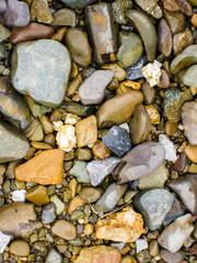 nature beach rock.