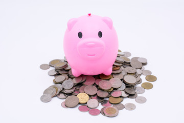 Pink pig saving on money coin on white background, Save money concept