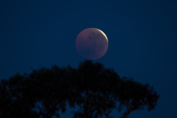 Blood Moon July 2018