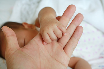 Close up father's holding baby hand.