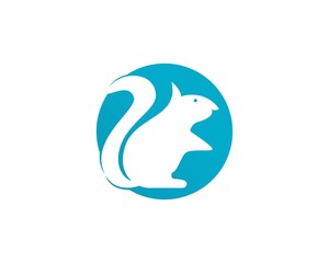 Plakat Squirrel animals logo and symbols template icons app
