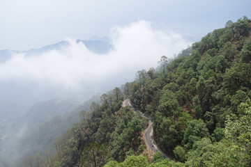 a road passing through trees with clouds