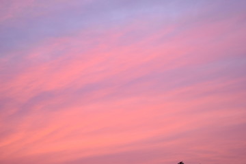 colorful sky blue and red for wallpaper and background