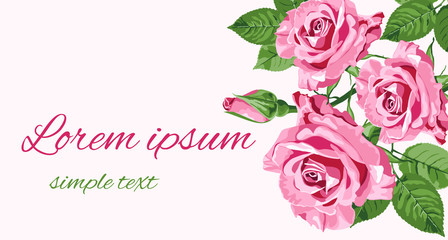 Greeting card with pink roses, place for text