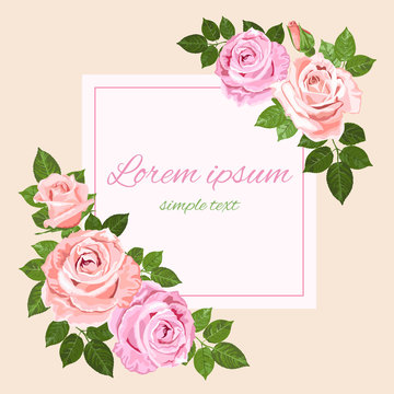 Pink and beige roses square greeting card