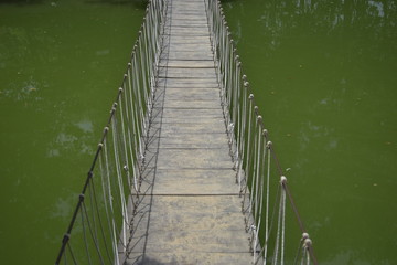 Obraz premium bridge made of wood and rope over a green water body