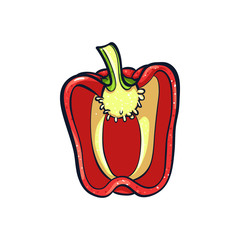 Vector hand drawn illustration of a red peper. Coloful cartoon icon. Food art for print, web, mobile and infographics. Isolated on white background element.