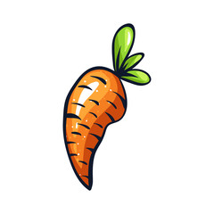 Vector hand drawn illustration of an orange carrot. Coloful cartoon icon. Food art for print, web, mobile and infographics. Isolated on white background element.