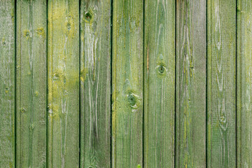Naklejka premium Texture of a wooden wall from the lining