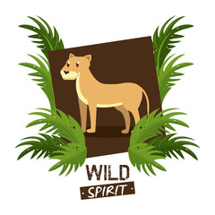 Lioness wilf african animal cartoons vector illustration graphic design