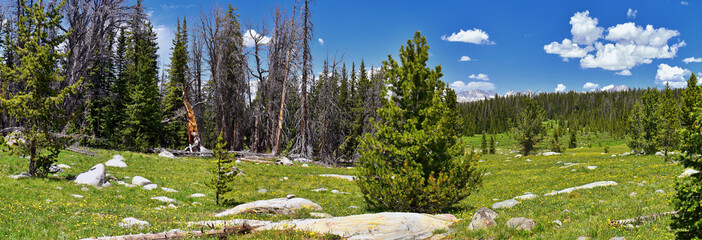 Wind River Range, Rocky Mountains, Wyoming, views from backpacking hiking trail to Titcomb Basin...