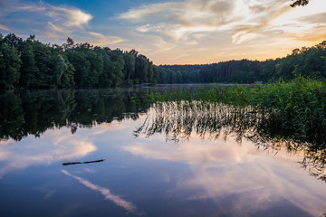 Sandy beach on sunny beautiful summer day over the lake near Bydgoszczo city, Poland