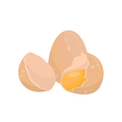 Cracked raw egg vector Illustration on a white background