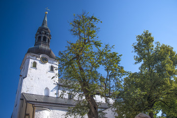 Alexander Nevsky Cathedral