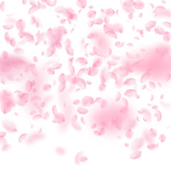 Sakura petals falling down. Romantic pink flowers gradient. Flying petals on white square background