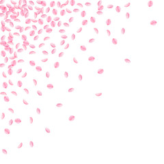 Sakura petals falling down. Romantic pink silky small flowers. Thick flying cherry petals. Scattered