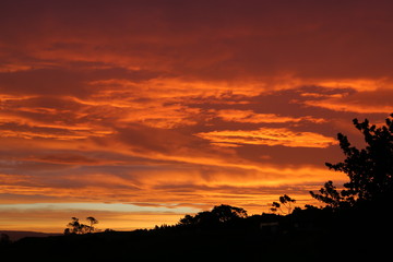 Bright orange sunset