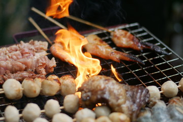  Grilled party for the holidays.