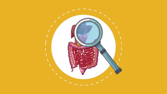 Magnifying glass checking digestive system high definition animation colorful scenes