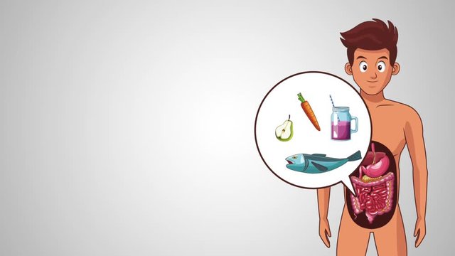 Digestive System And Healthy Food Cartoons High Definition Animation Colorful Scenes