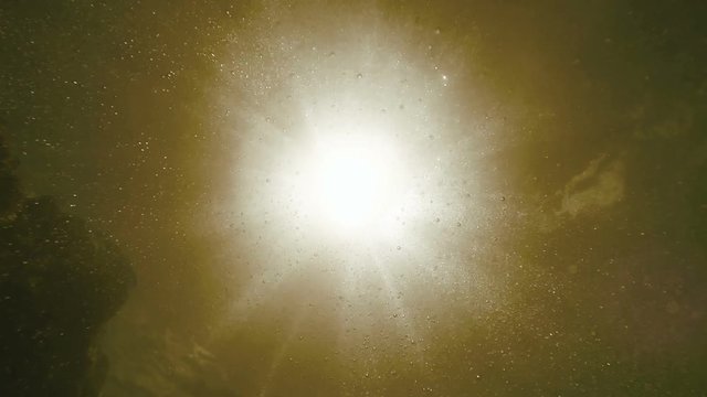 A view from underwater: the sun is shining through