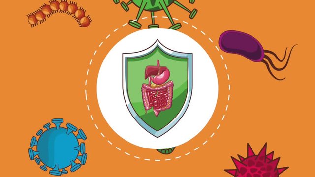 Digestive system on shield over virus falling background high definition animation colorful scenes