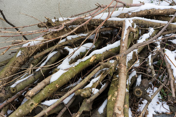 pile of wood with snow in winter