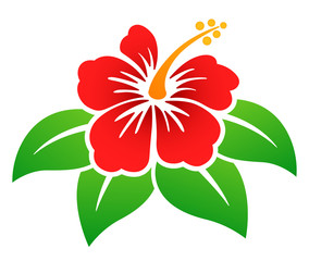 Vector hibiscus flower colorful design © Francois Poirier