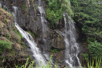 Spring Mountain Water