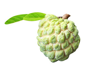 Sugar apple or Annona squamosa fruit  with green leaf  isolated on white background	