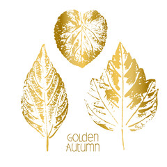 Golden Autumn. Leaf fall. Prints of different leaves. Gold on white.